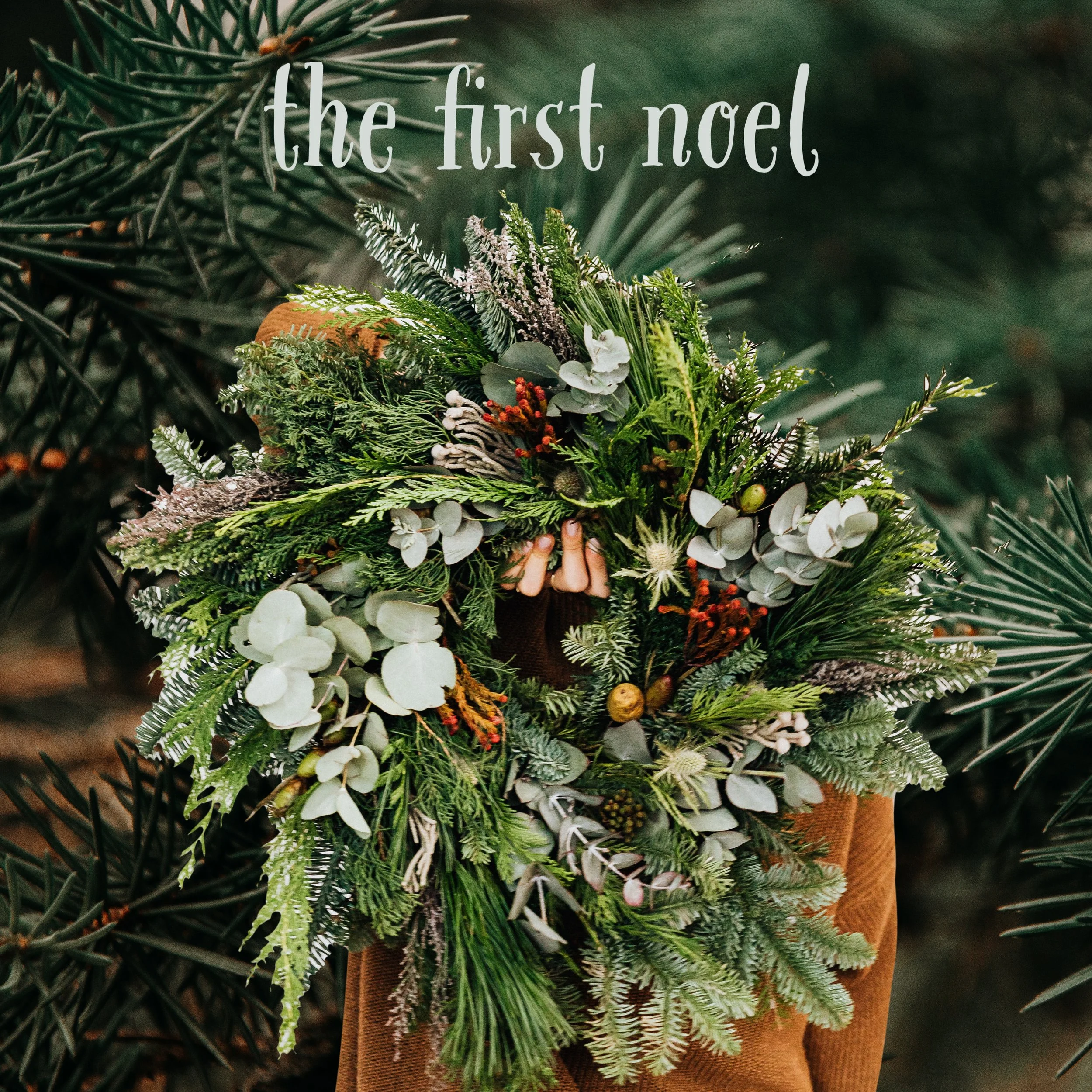 The First Noel — Camille & Gabriel